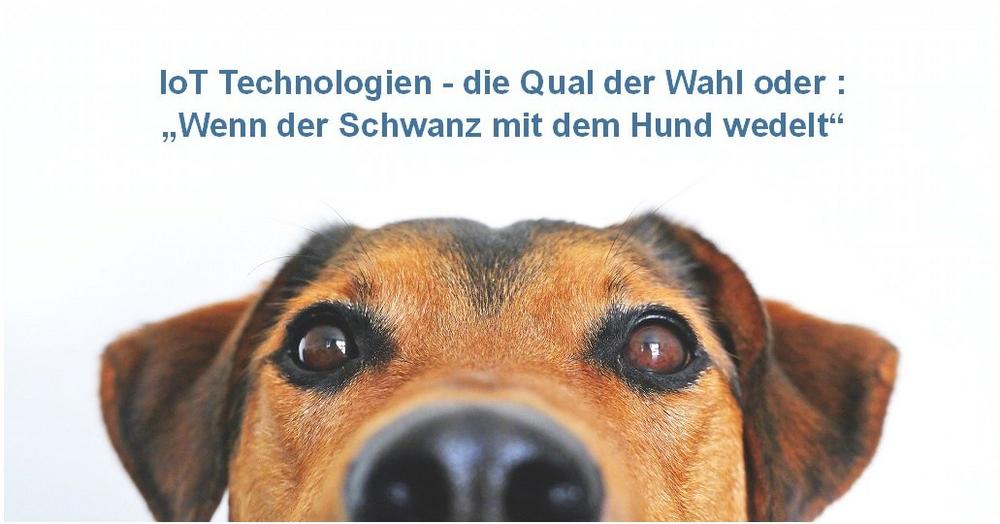 IoT-Technologien – die Qual der Wahl oder: „wag the dog“ – wenn der Schwanz mit  dem Hund wedelt! (Webinar | Online)