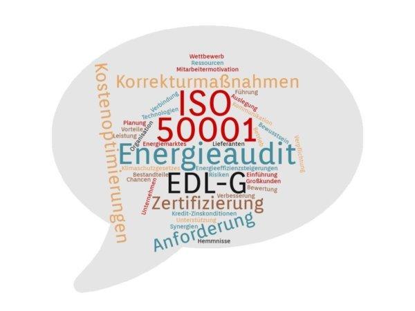 Wozu von einem Energieaudit gemäß EDL-G auf die ISO 50001 wechseln? (Seminar | Online)
