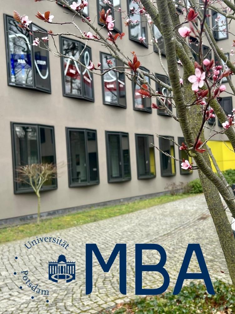 Online-Infoveranstaltung zum Master of Business Administration (MBA) an der Universität Potsdam (Webinar | Online)