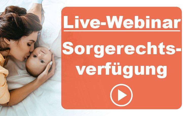 Für Eltern: Sichern Sie das Glück Ihrer Kinder – mit Sorgerechtsverfügung, Vollmachten für die Famil (Webinar | Online)