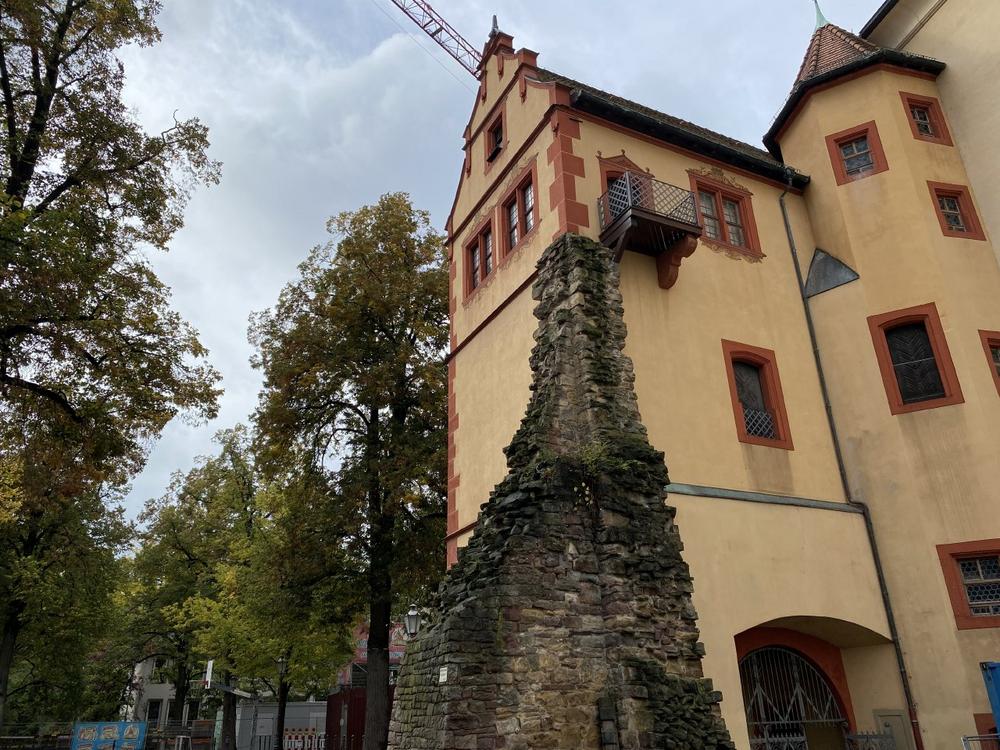 Naturpark-Markt Durlach (Unterhaltung / Freizeit | Karlsruhe)