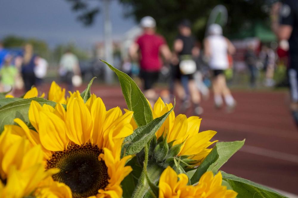 12. Laufend gegen Krebs in Chemnitz (Unterhaltung / Freizeit | Chemnitz)