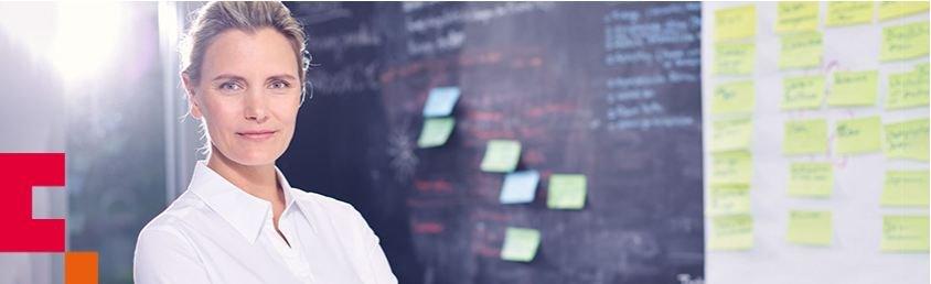 Info-Webinar zu „Organisationsexperte mit ibo-Zertifikat“ (Webinar | Online)
