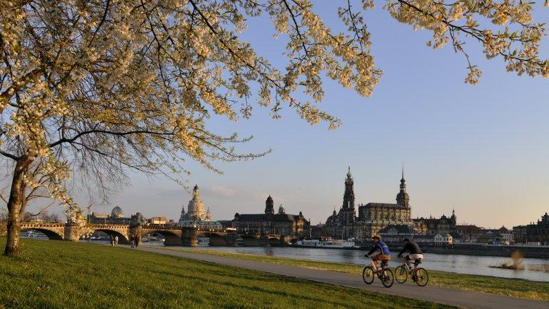 31. Interdisziplinäres Allergiesymposium (Konferenz | Dresden)