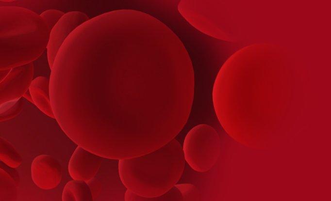 State-of-the-Art myeolische Neoplastiken (Seminar | Halle (Saale))