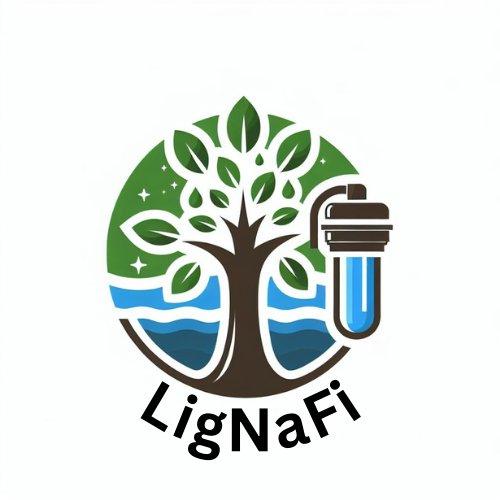 Nachhaltig filtern – Aktivkohle aus Lignocellulose für die Wasserreinigung der Zukunft (Workshop | Augsburg)