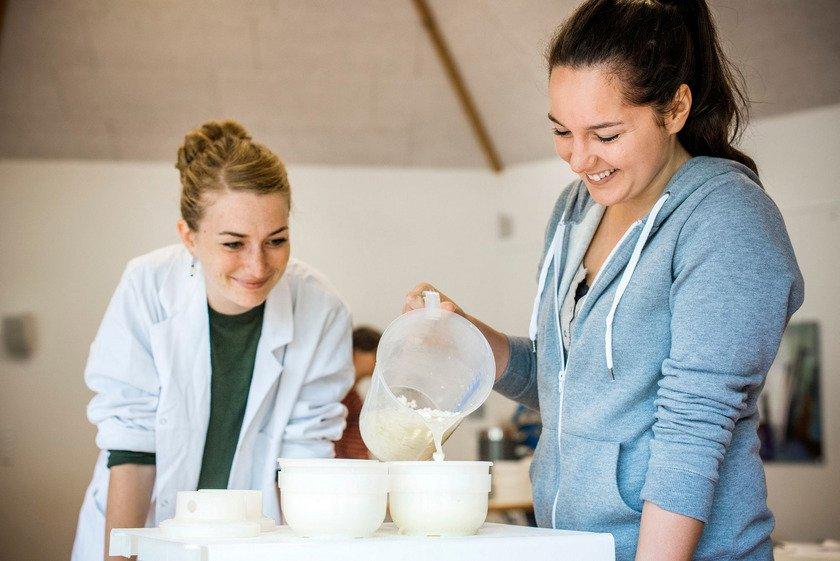 Praxisworkshop zur Molkeverarbeitung in handwerklichen Käsereien (Workshop | Wallenhorst)