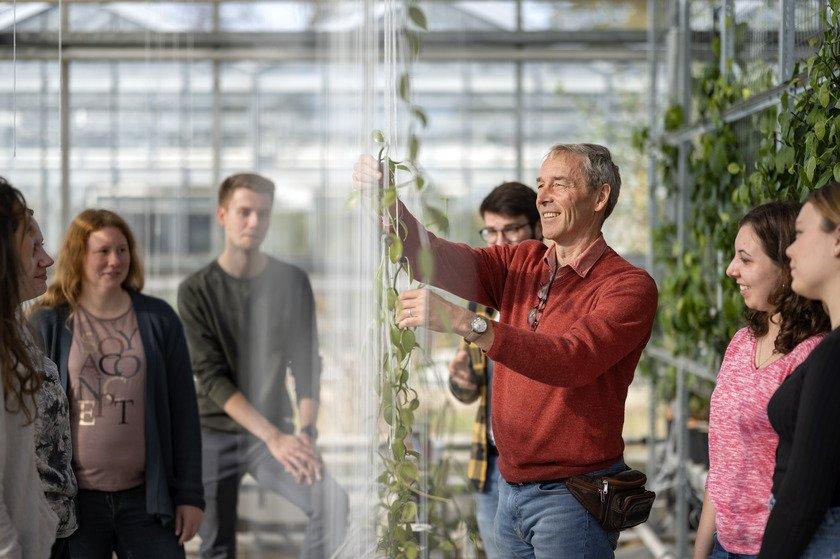 Online-Infoveranstaltung zum berufsbegleitenden Studiengang Pflanzentechnologie in der Agrarwirtscha (Sonstiges | Online)