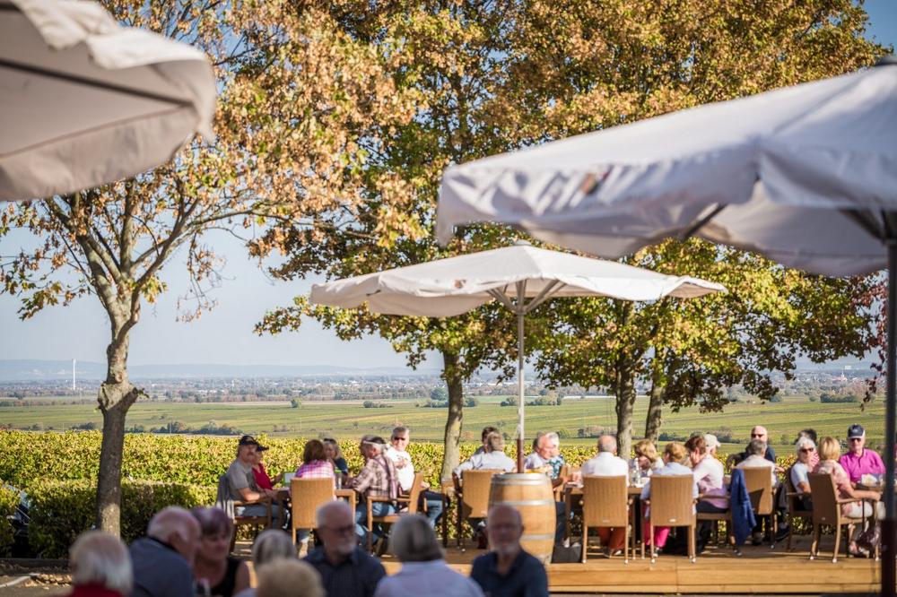 Livemusik im Weinland Königsbach mit THE FROCS (Unterhaltung / Freizeit | Neustadt an der Weinstraße)