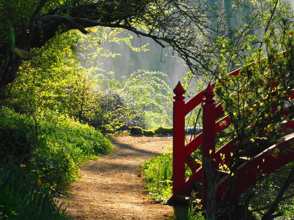 Welttag der Gartentherapie in Dennenlohe (Networking | Unterschwaningen)