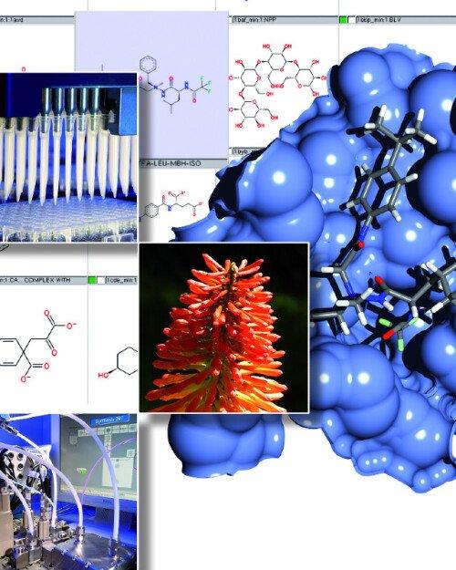 Advances in Chemical Biology (Vortrag | Frankfurt am Main)